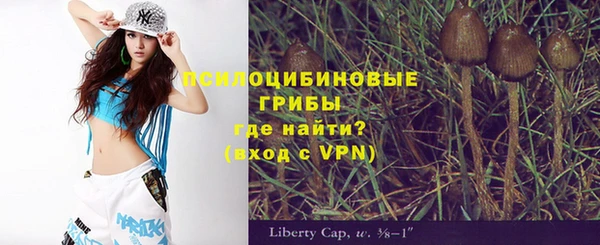 PSILOCYBIN Нефтегорск