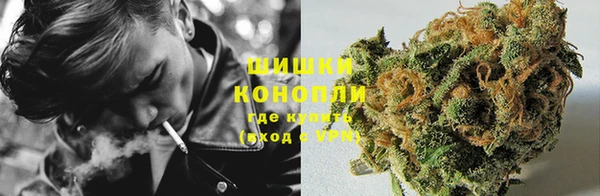 PSILOCYBIN Нефтегорск