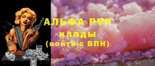 PSILOCYBIN Нефтегорск