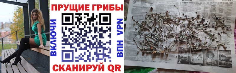 Псилоцибиновые грибы MAGIC MUSHROOMS  Александров 