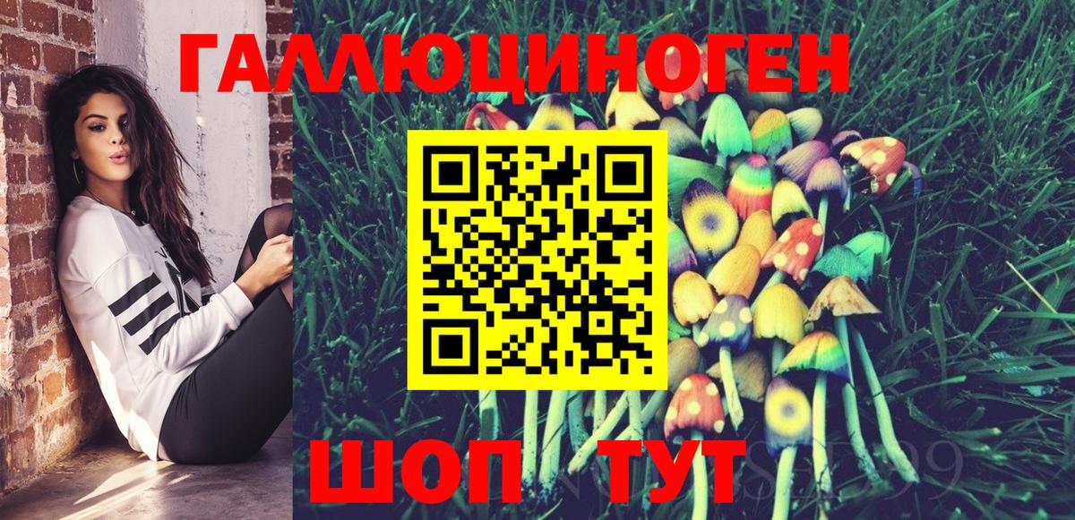 Галлюциногенные грибы прущие грибы  Александров 