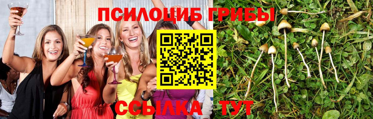 Александров  Галлюциногенные грибы мицелий  Вход с VPN  Псилоцибиновые грибы прущие грибы 